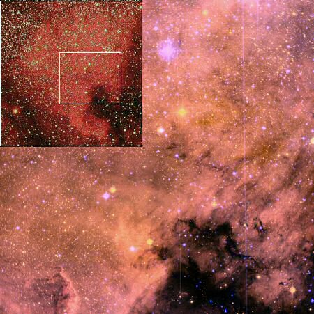 NGC 7000 : nébuleuse America