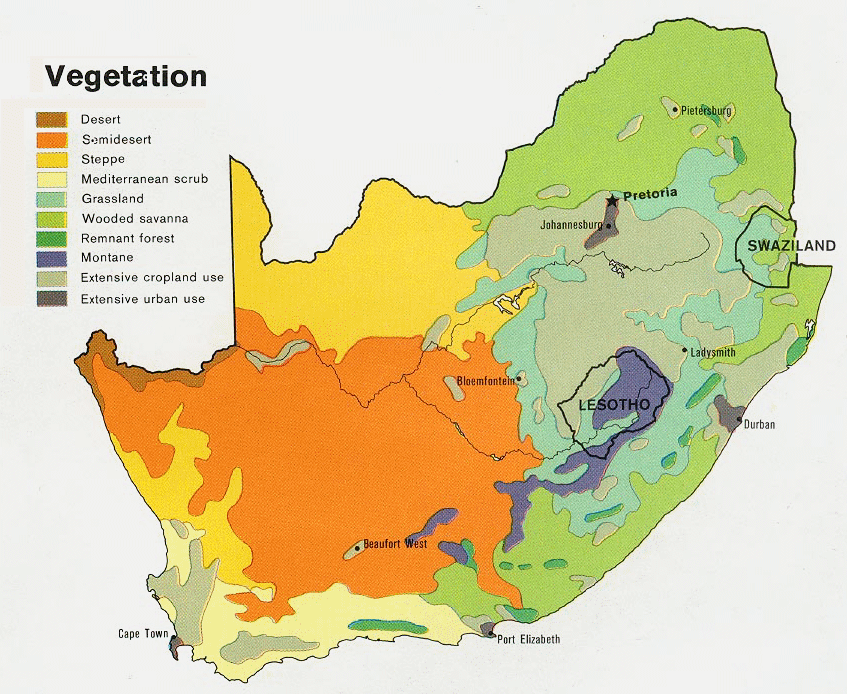 Carte de l'Afrique du Sud  (végétation).