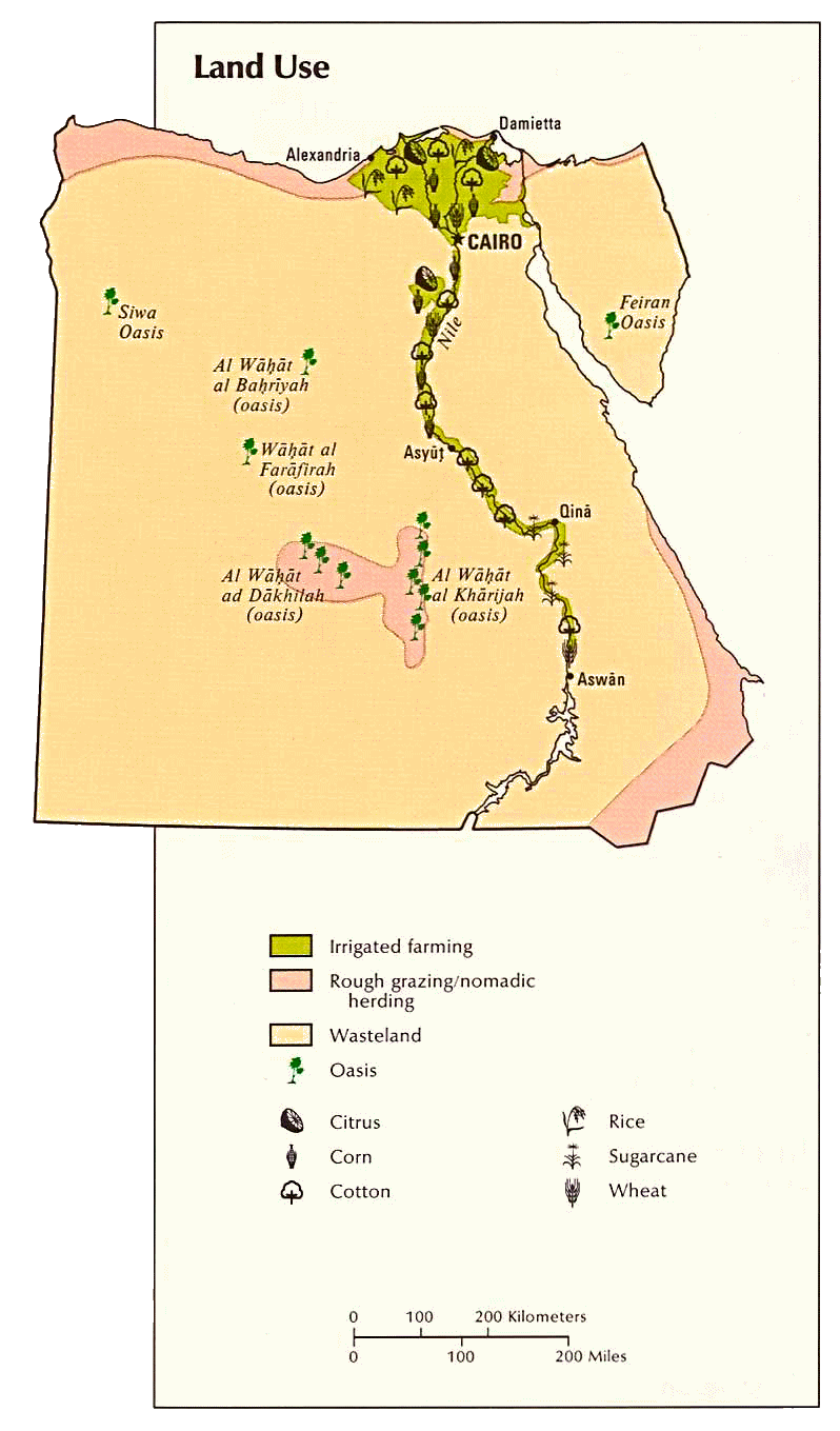 Carte de l'Egypte (agriculture).