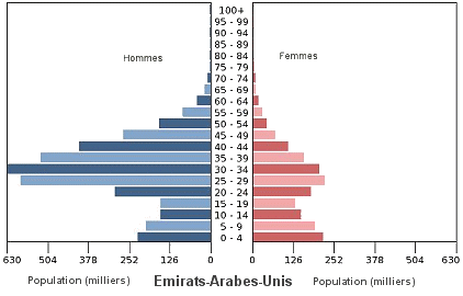 Emirats-Arabes-Unis : pyramide des âges en 2013.