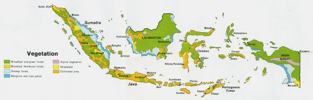 Carte de l'Indonsie (vgtation).