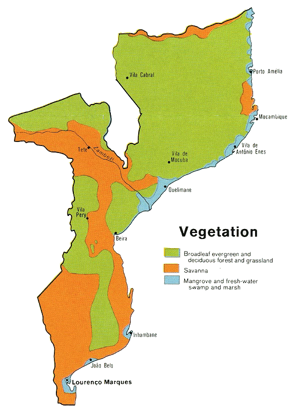 Carte du Mozambique  (végétation).