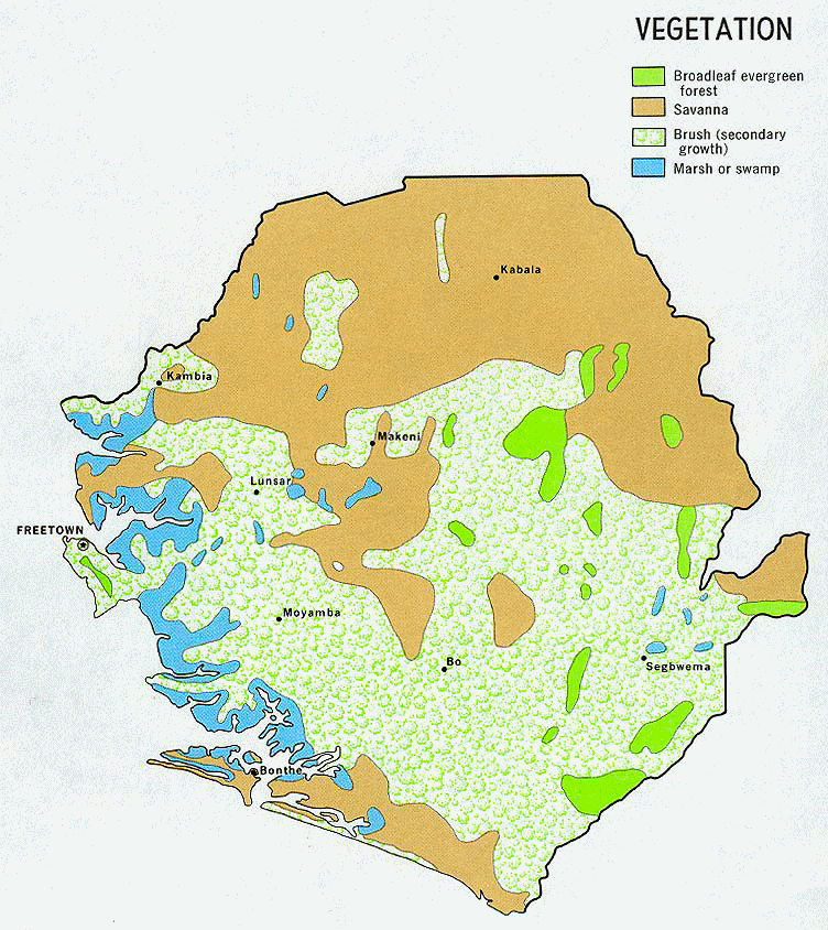 Carte de la Sierra Leone : végétation.