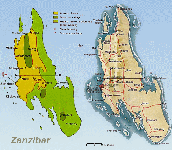 Carte de l'le de Zanzibar.