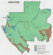 La végétation du Gabon.