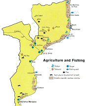 Angriculture du Mozambique.