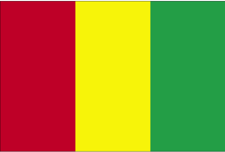 Drapeau de la Guinée.
