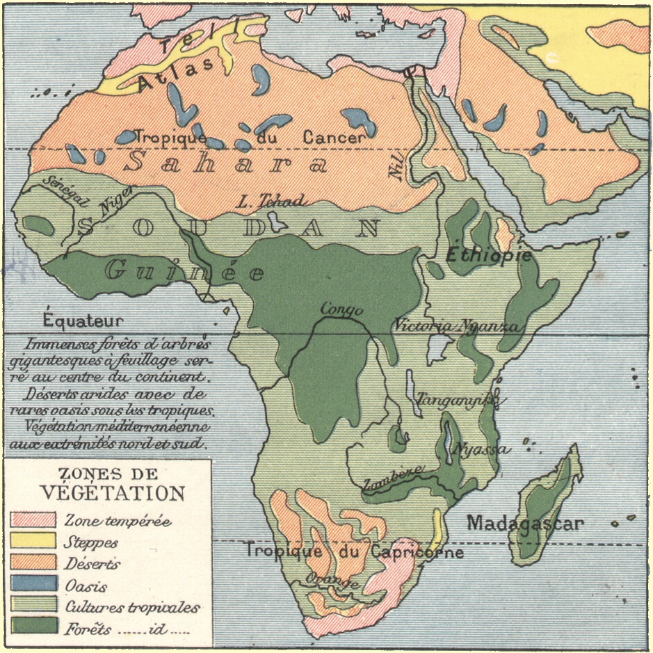 Afrique : zones de végétation.