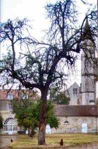 Abbaye de Royaumont.