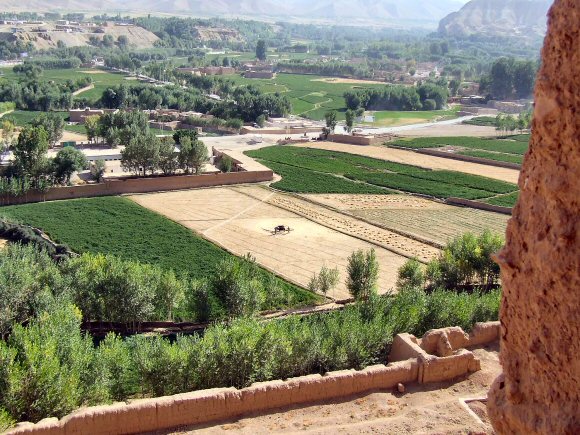 Afghanistan : Champs cultivés à Bamyan.
