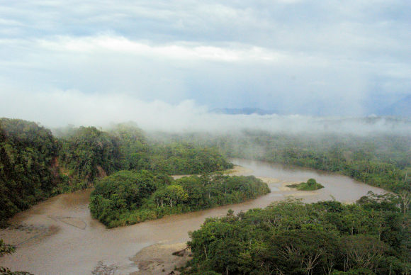 Amazonie quatorienne.