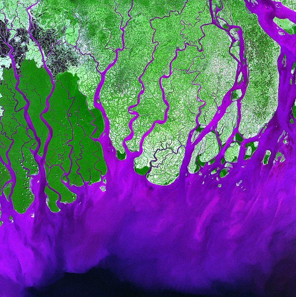 Bangladesh : le delta du Gange.