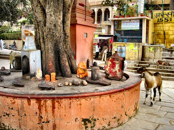 Varanasi : offrandes à Shiva.