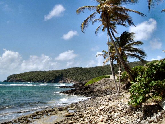 Saint-Vincent et les Grenadines : l'ile de Bequia