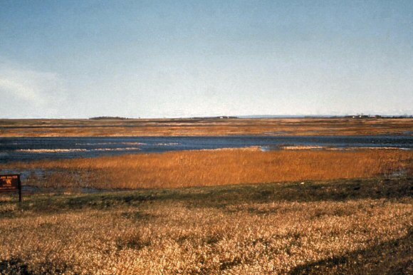 Dakota du Nord, le parc naturel de J. Clark Salyer