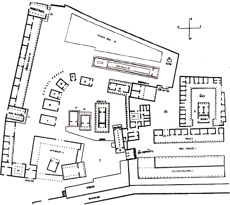 Délos : quartier du sanctuaire d'Apollon.