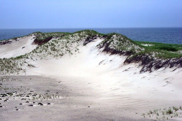 Dune sur la côte du Massachusetts.