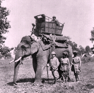 Edouard VII aux Indes (plaine du Teraï), sur un éléphant.