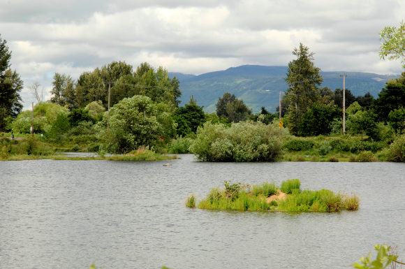 Oregon : étang à Eugène.