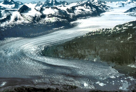 Alaska : glacier Shoup.