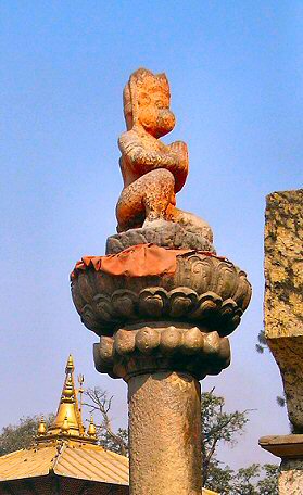 Pashupatinath : Hanuman.