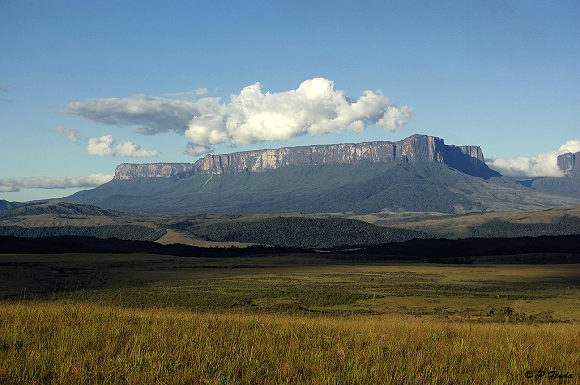 Venezuela : le mont Kukenan.