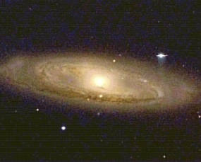 La galaxie M 65.
