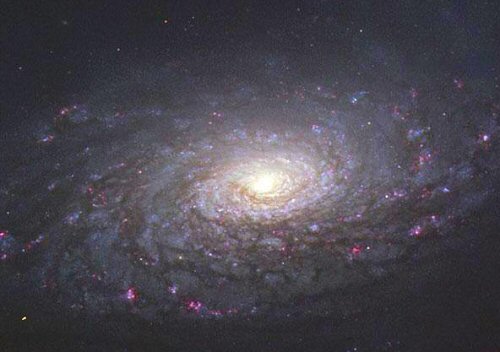 M 63 = galaxie du Tournesol.