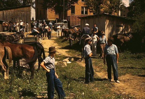 Une marché aux chevaux, dans le Kentucky.