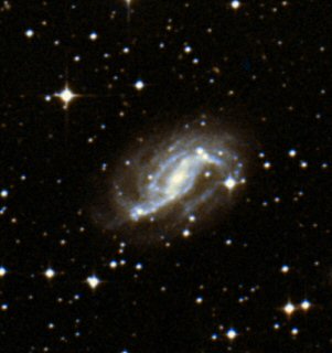 NGC 3095.