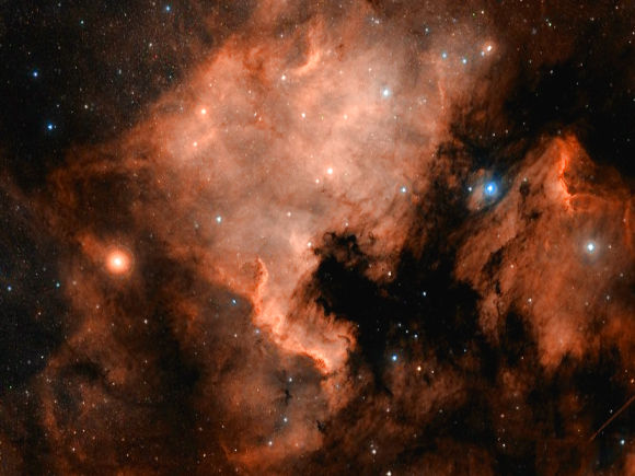 NGC 7000 : nébuleuse America