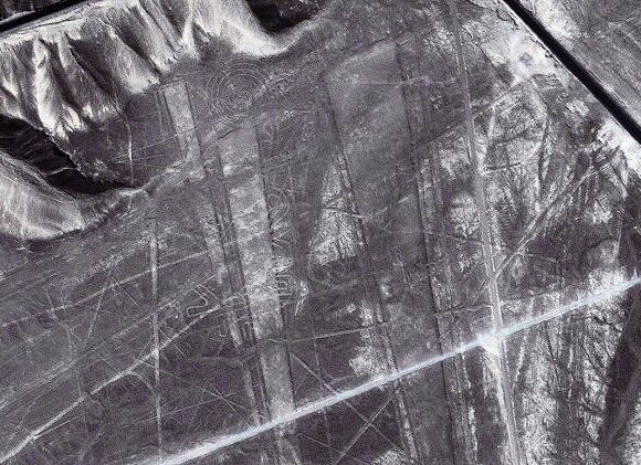 Goglyphes de Nazca (Prou).