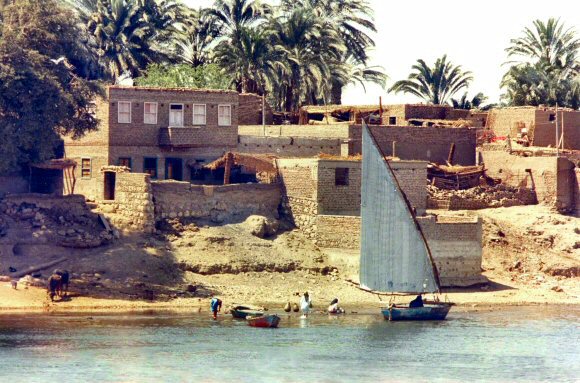Rive du Nil.