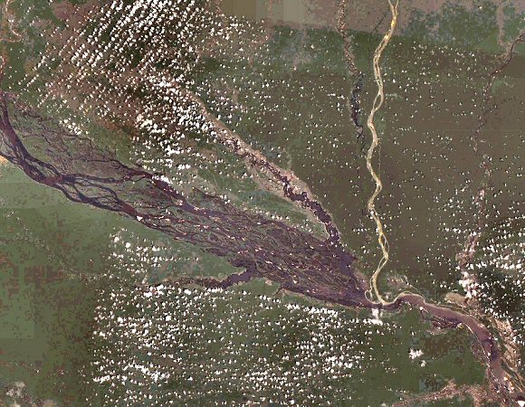 Confluent du Rio Negro et du Rio Branco.
