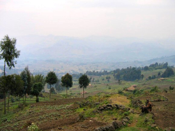 Rwanda : paysage de collines.