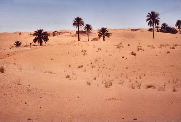 Algérie : le Sahara.