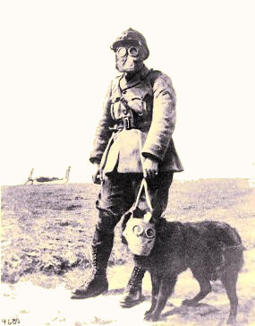 Première guerre mondiale : soldat et chien équipés de masques à gaz.