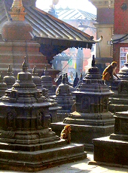 Kathmandou : jardin des Chaitya  Swayambunath.
