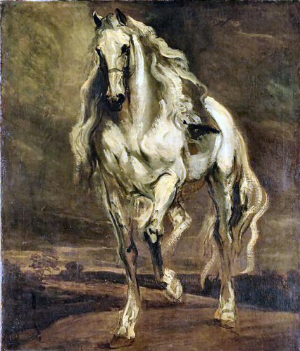 Van Dyck : Cheval gris (étude).