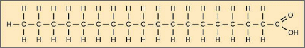 Molécule d'acide stéarique.