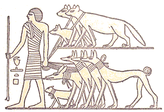 Chiens de l'Egypte ancienne.