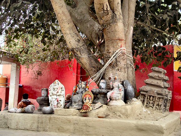 Varanasi : offrandes à Shiva.