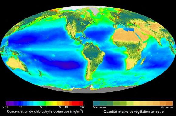 Carte de l'activit photosynthtique sur la Terre.