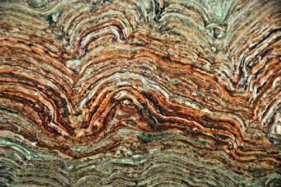 Stromatolites.